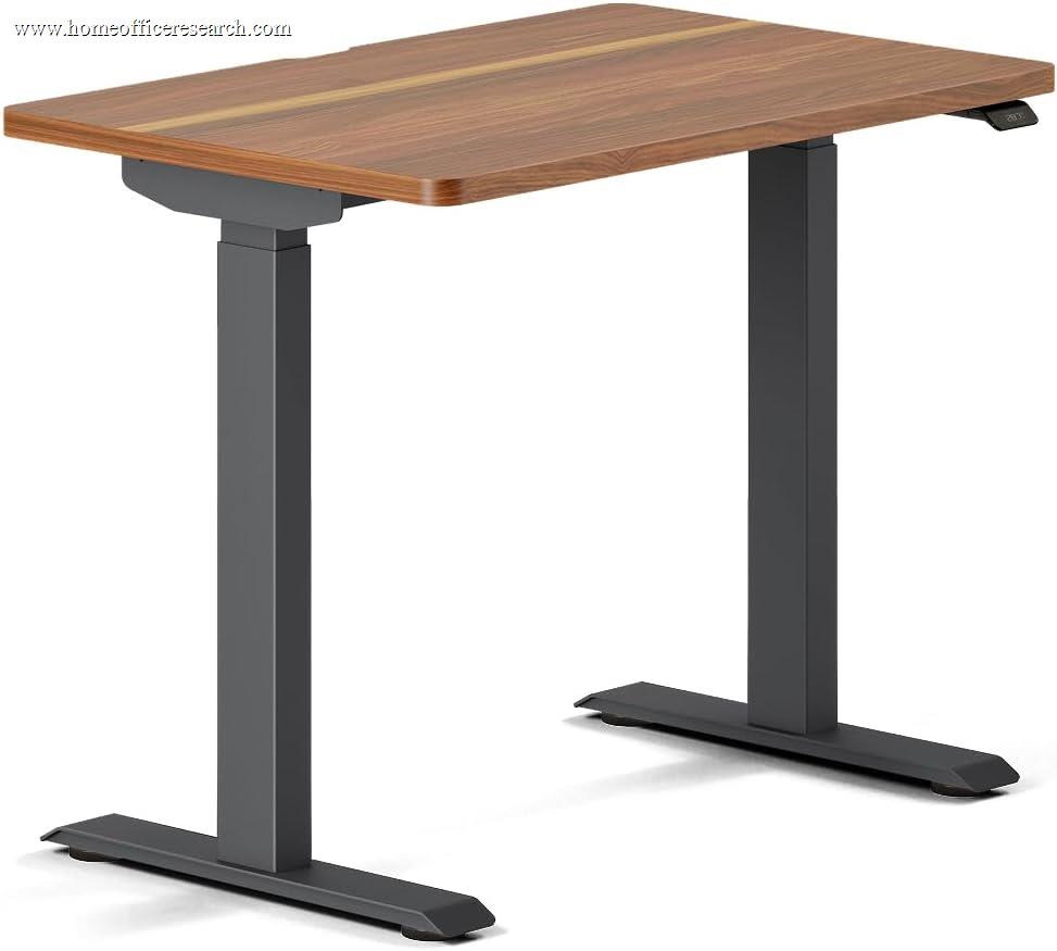Branch Duo Standing Desk